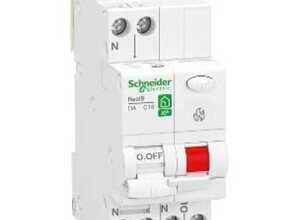 SCHNEIDER - Disjoncteur détecteur d'arc Phase Neutre 10A courbe C à vis Resi9 XP - R9PTC610