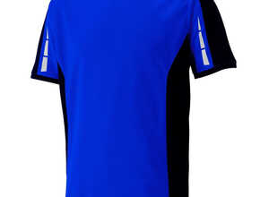 T-shirt de travail Dickies Pro Bleu Royal 3XL