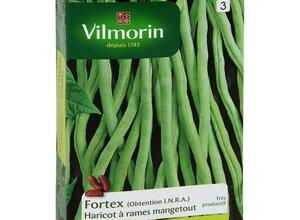 VILMORIN Haricot Fortex Mangetout Sachet de graines - Obtention INRA