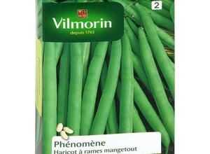 VILMORIN Haricot Phenomene Mangetout Sachet de graines