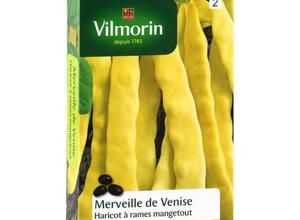 VILMORIN Haricot Merveille de Venise Sachet de graines - Mangetout beurre