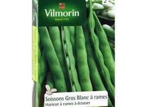 VILMORIN Haricot Soissons gros blanc ? rames Sachet de graines - A écosser