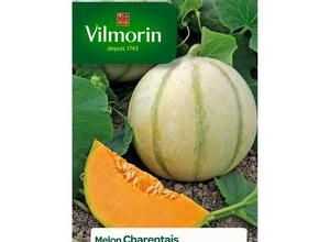 VILMORIN Melon Charentais