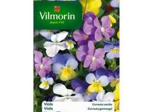 VILMORIN Viola Cornuta variée