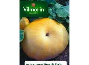 VILMORIN Potiron jaune gros de Paris