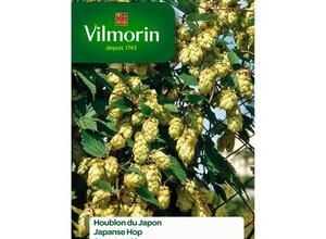 VILMORIN Houblon du Japon