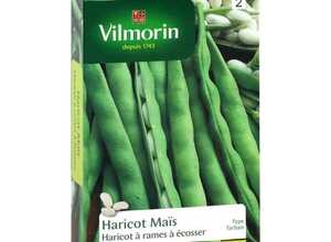 VILMORIN Haricot Soissons ma?s type Tarbais Sachet de graines