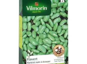 VILMORIN Haricot Flavert Sachet de graines - Création Vilmorin