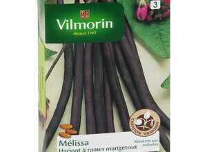 VILMORIN Haricot Melissa ? cosse violette Sachet de graines - Création Vilmorin