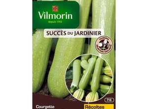 VILMORIN Courgette Adrielle HF1 Création Vilmorin