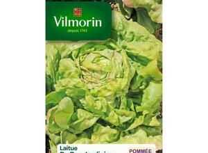 VILMORIN Laitue Pommee du bon jardinier