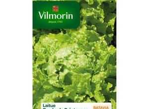 VILMORIN Laitue Batavia Dorée de printemps