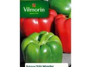 VILMORIN Poivron Yolo Wonder