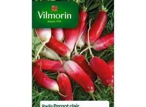 VILMORIN Radis Pernot clair