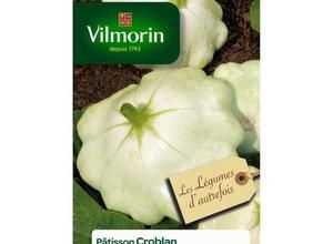 VILMORIN Patisson Croblan courgette