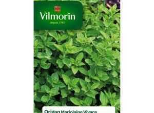 VILMORIN Marjolaine vivace origan