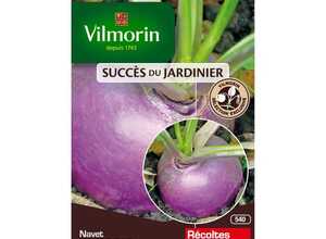 VILMORIN Navet Plessis