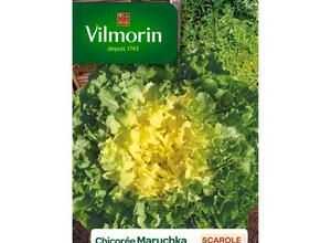 VILMORIN Chicorée scarole Maruschka