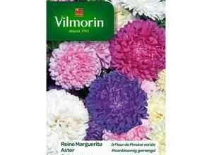 VILMORIN Reine marguerite a fleur de pivoine