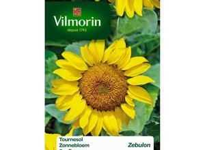 VILMORIN Tournesol zebulon