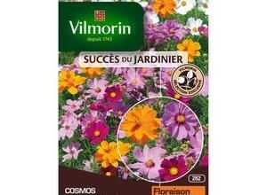 VILMORIN Cosmos feng shui en mélange