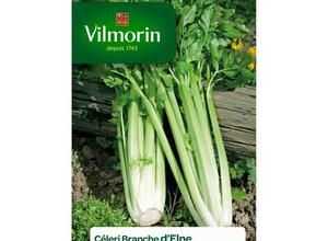 VILMORIN Céleri branche d?Elne