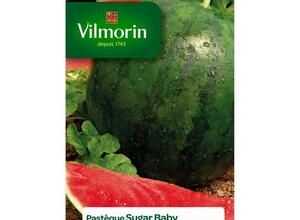 VILMORIN Pasteque Sugar Baby