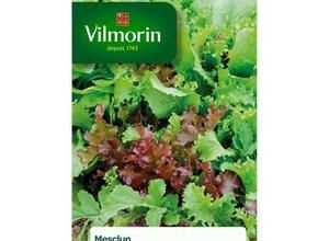 VILMORIN Mesclun
