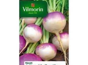VILMORIN Navet de Nancy ? feuille enti?re