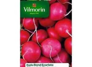 VILMORIN Radis rond ecarlate géant de Wurzbourg