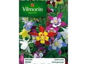 VILMORIN Ancolie étoile variée