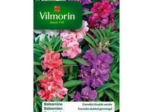 VILMORIN Balsamine Camelia double variée