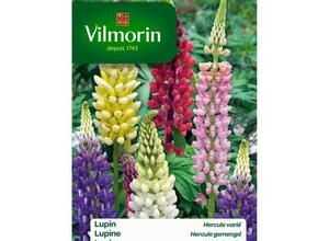 VILMORIN Lupin Hercule varié