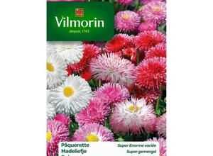 VILMORIN Pâquerette Super enorme variée