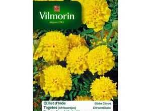 VILMORIN Oeillet d'Inde Globe citron