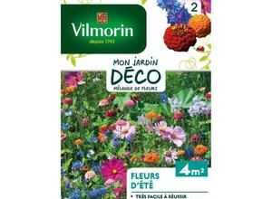 VILMORIN Jolies fleurs d ete en mélange