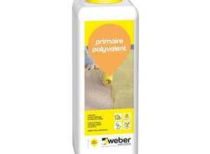 WEBER - Primaire polyvalent