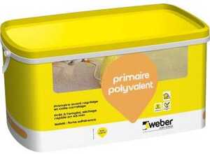 WEBER - Primaire polyvalent 5KG - 16001005