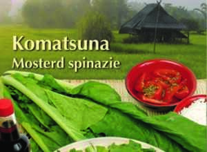 Xotica - Ãpinard Moutarde (Komatsuna)